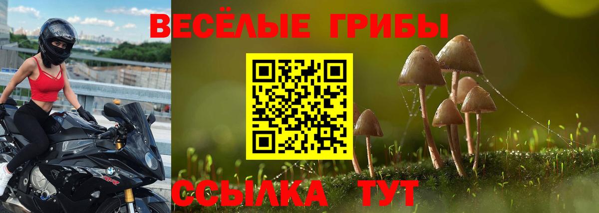 Людиново  Псилоцибиновые грибы Psilocybine cubensis  Вход с VPN 